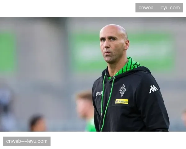 勒沃库森对阵门兴比赛中，场边广告牌虚拟投射系统出现短暂技术故障